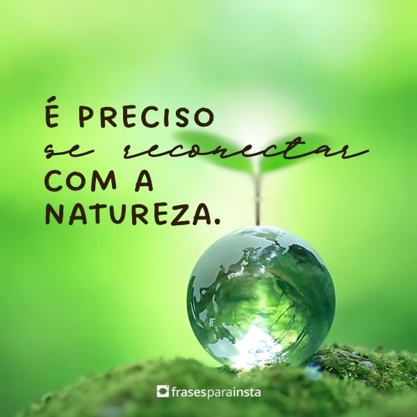 Legendas para Fotos na Natureza