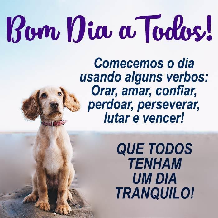 Bom Dia a Todos