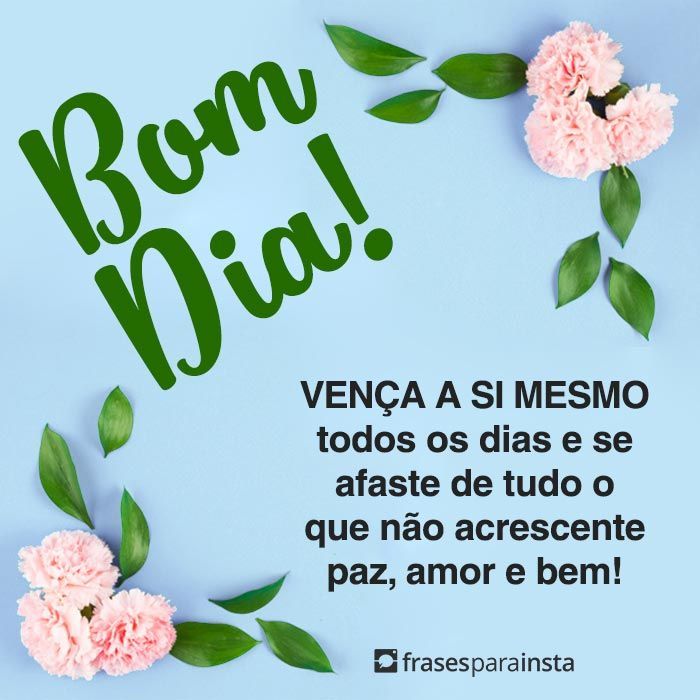 Frases de Bom dia para Status