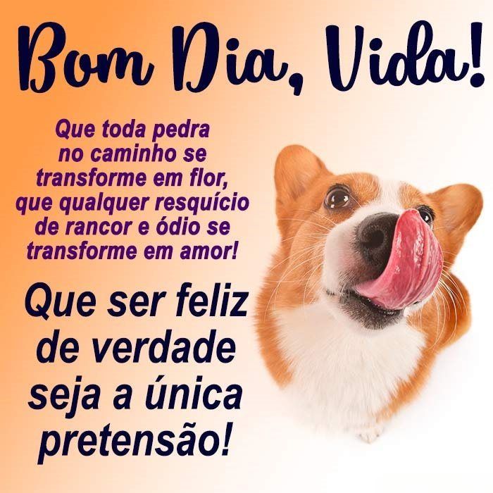 Frases de Bom dia para Status