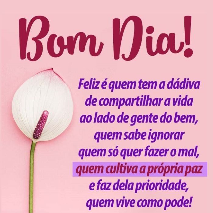 Frases de Bom dia para Status