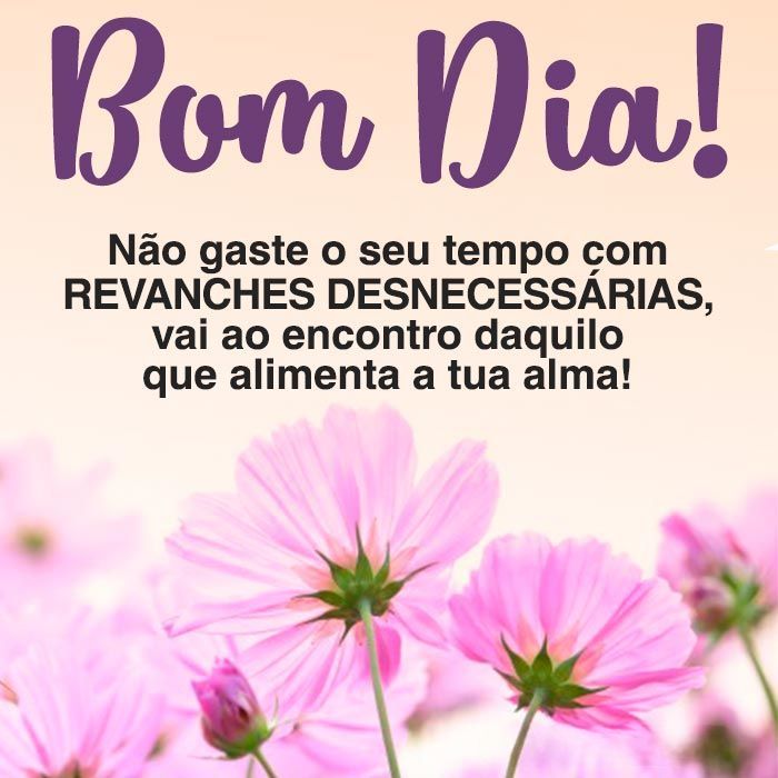 Frases de Bom dia para Status