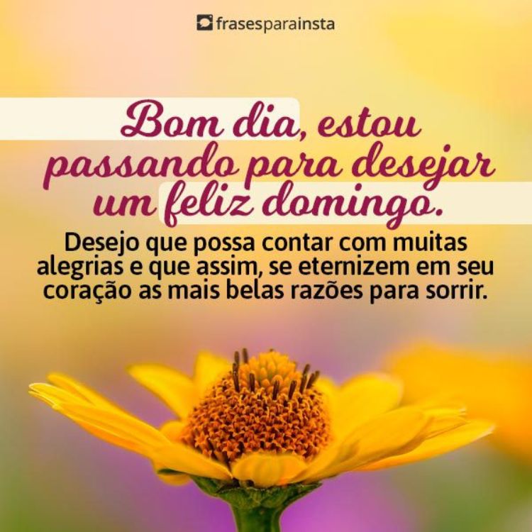 Frases de Domingo +120 Opções para Começar o dia Entusiasmado