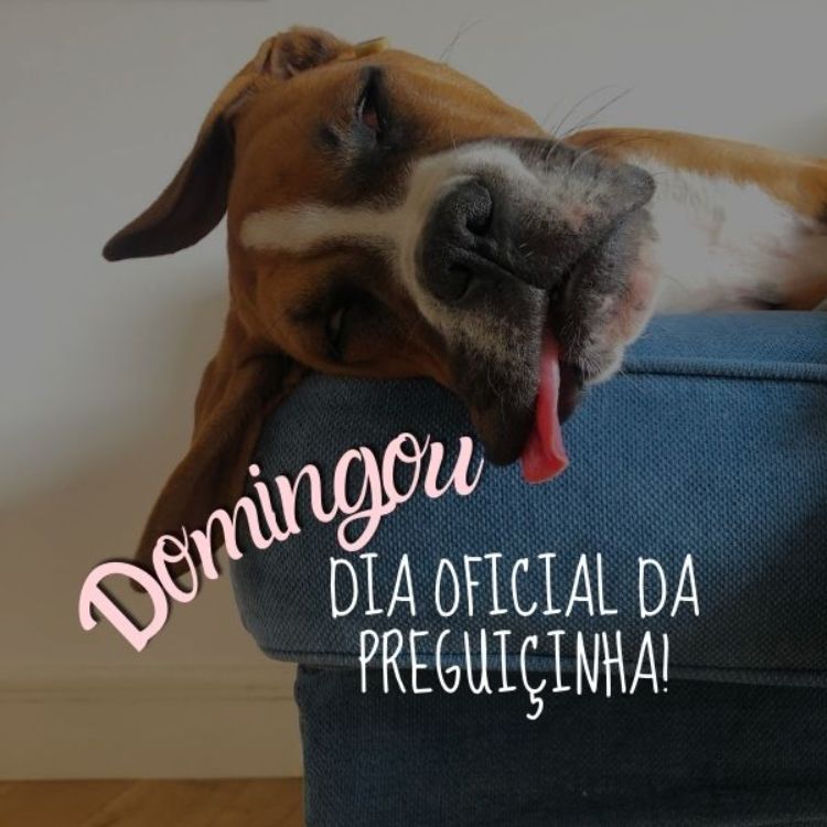 Frases de Domingo +120 Opções para Começar o dia Entusiasmado