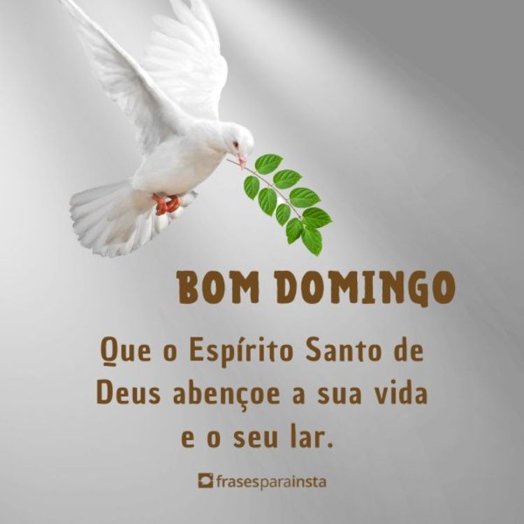 Frases de Domingo +120 Opções para Começar o dia Entusiasmado