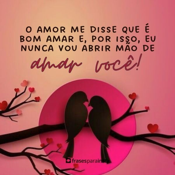 Mensagens e Frases de Amor para Namorado