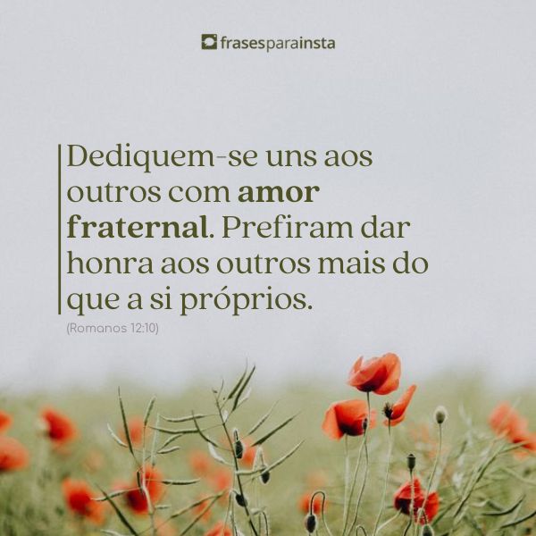 Versículos de Amor que falam do elo perfeito que vem de Deus!