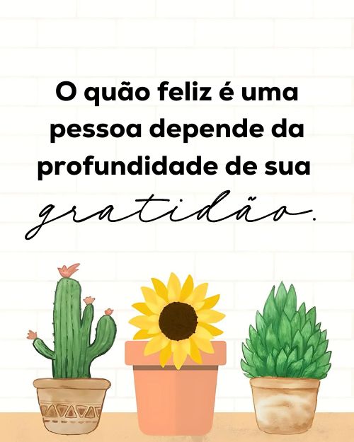 Status de Gratidão +90 Frases para Mostrar o Quanto é Grato