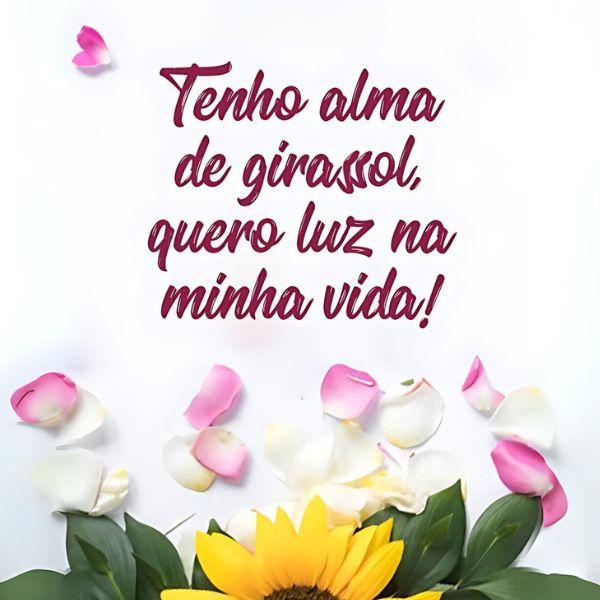 169 Frases para Status: Curtinhas e Originais para Compartilhar no WhatsApp