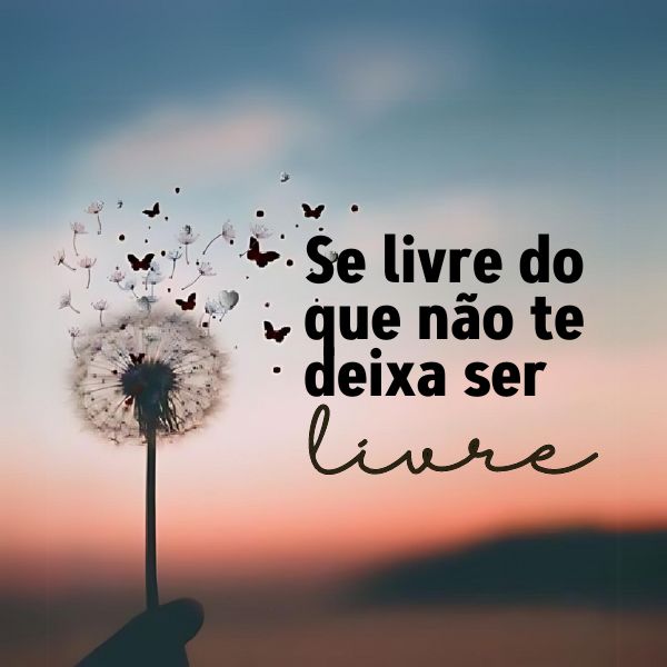 Frases Sobre Liberdade +50 Legendas Para Te Inspirar