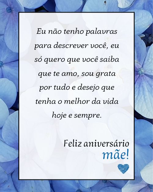 Feliz Aniversário mãe!