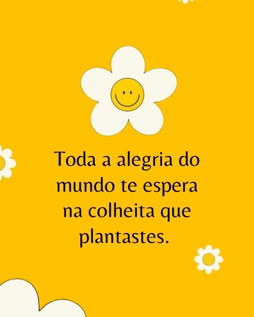 Frases de Felicidade para Status +50 Opções Inspiradoras para Compartilhar